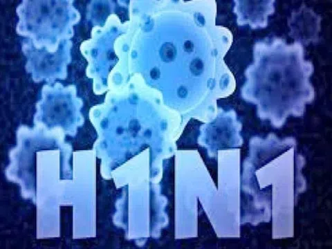 Trường hợp nhiễm cúm A/H1N1 đầu tiên ở Bến Tre đã tử vong